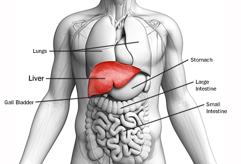 hepatic cancer what is it)
